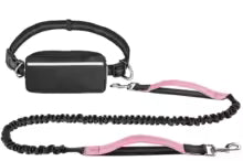 Hands-Free Dog Walking Leash with Zipper Pouch