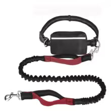 Hands-Free Dog Walking Leash with Zipper Pouch