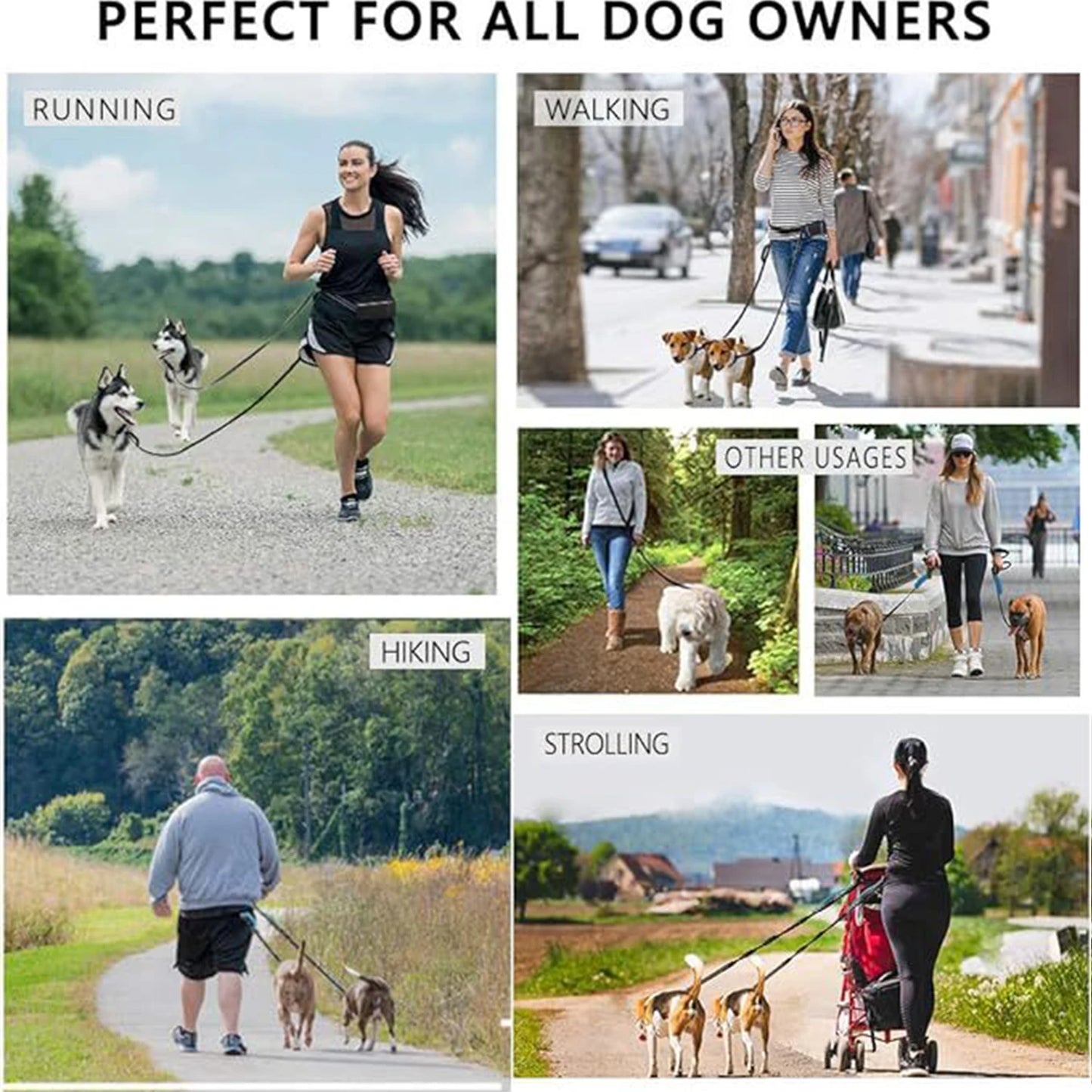 Hands-Free Dog Walking Leash with Zipper Pouch